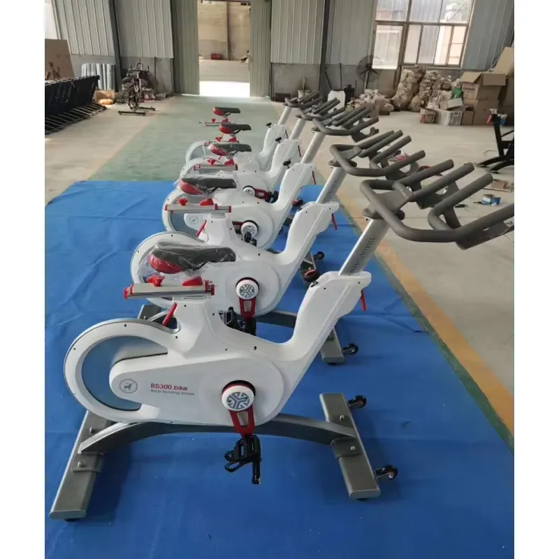 Bicicleta de Spinning Profissi - Home Gym Exercise avaliação e preço