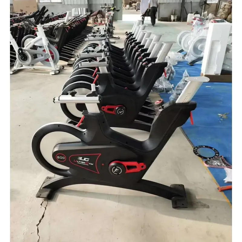 Bicicleta de Spinning Profissi - Home Gym Exercise avaliação e preço